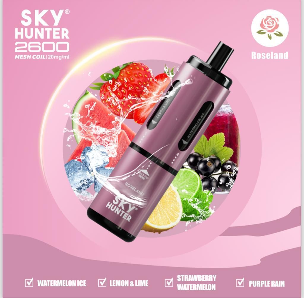 4 in 1 Sky Hunter 2600 Puffs Disposable Vape Box of 5 - Vaperdeals